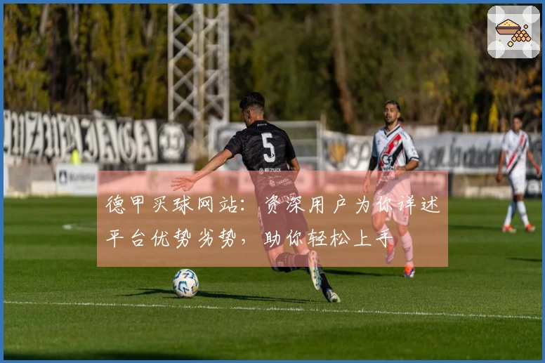 德甲买球网站：资深用户为你详述平台优势劣势，助你轻松上手