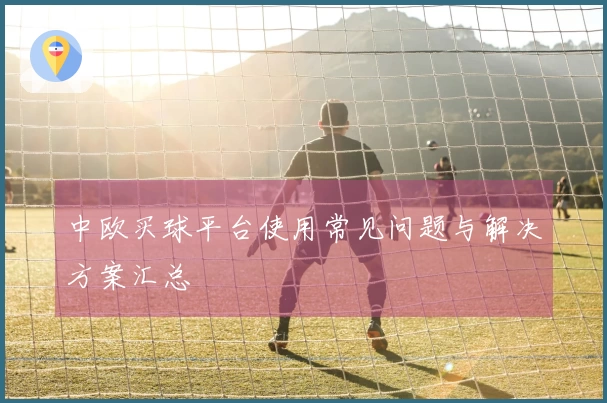 中欧买球平台使用常见问题与解决方案汇总