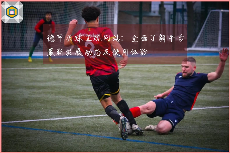 德甲买球正规网站：全面了解平台最新发展动态及使用体验