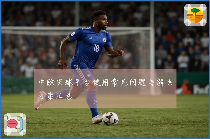 中欧买球平台使用常见问题与解决方案汇总