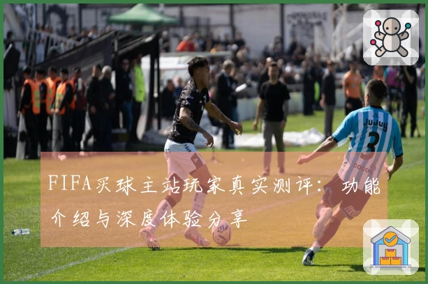 FIFA买球主站玩家真实测评:功能介绍与深度体验分享