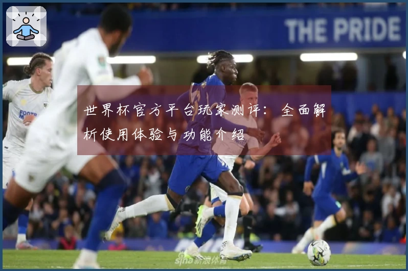世界杯官方平台玩家测评：全面解析使用体验与功能介绍